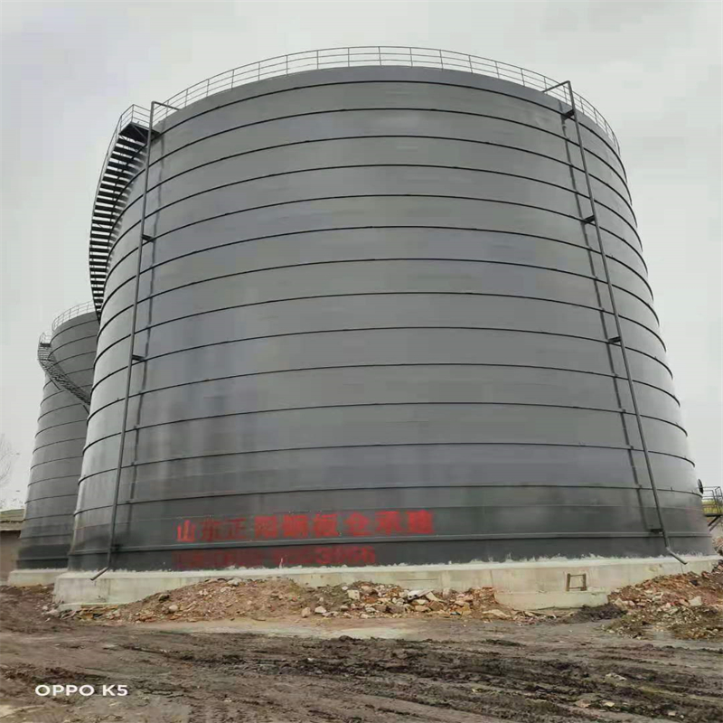 瑞溪镇3万吨大型钢板库