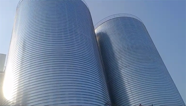 瑞溪镇2座混凝土高架卷板仓